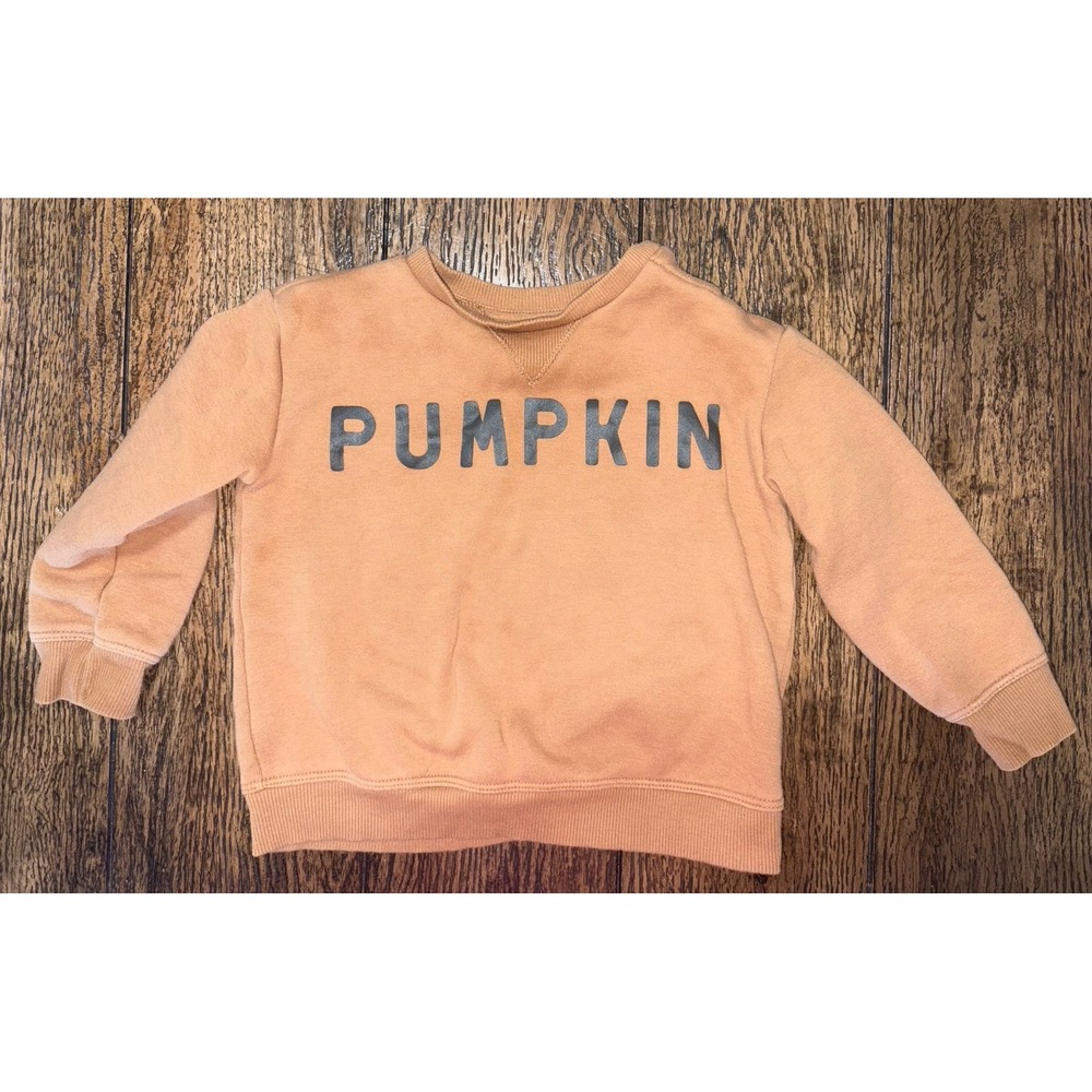Little co pumpkin unisex crewneck 24 months